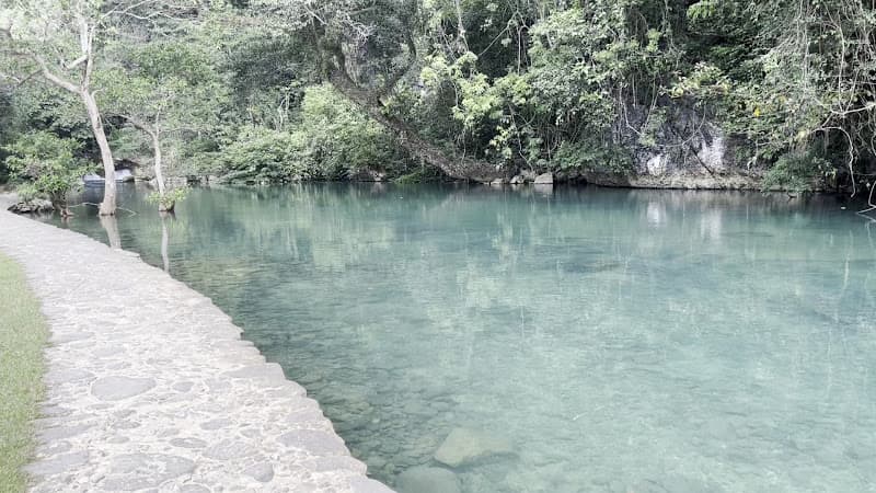 Hình ảnh Cầu Suối Lê Nin - 6