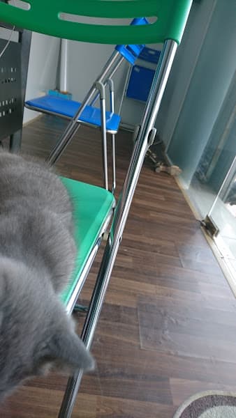 Hình ảnh Phở 79 - 4