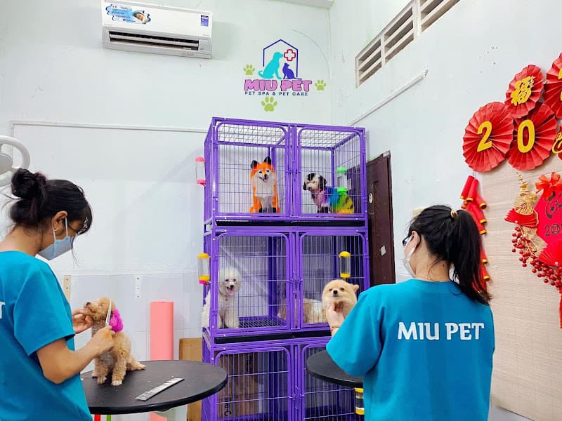 Hình ảnh Phòng Khám Thú Y MiuPet Tháp Mười - 5