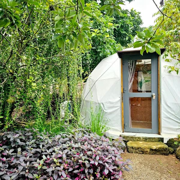 Hình ảnh B' Glamping - 3