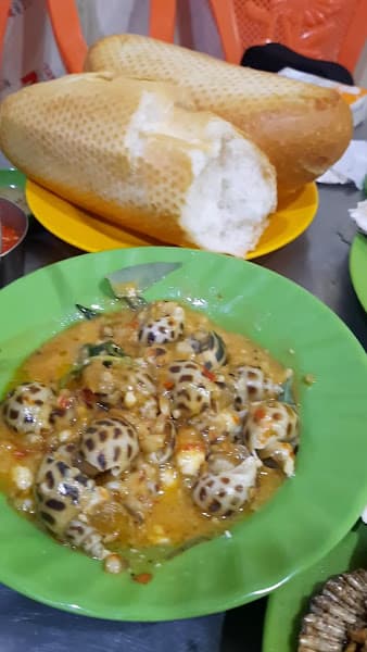 Hình ảnh Ốc Liễu - 3