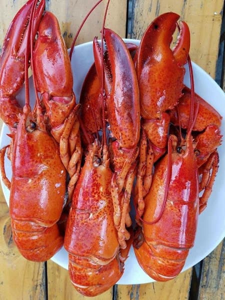 Hình ảnh NHÀ HÀNG ALO BEER - 5