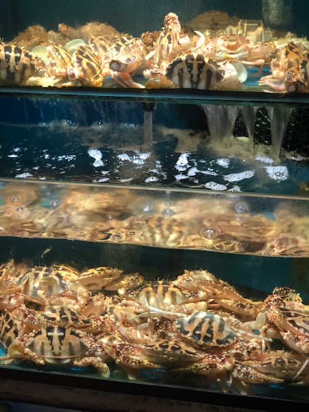 Ảnh bìa Hải Sản Tươi Sống Bảy Khá