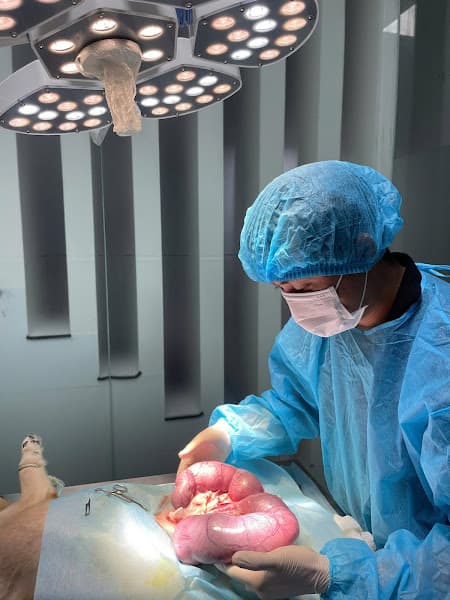 Hình ảnh Thú Y Cần Thơ - PA pet - 3