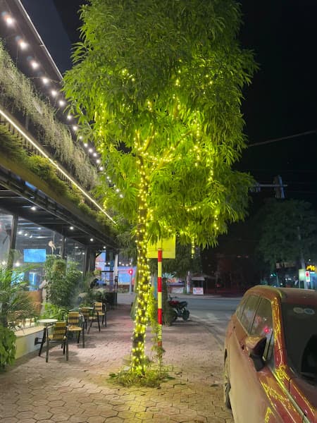 Hình ảnh Nhiệt Đới Coffee - 6