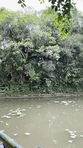 Hình ảnh Di Tích Giếng Cốc - Quê Nội Hồ Chí Minh - 4