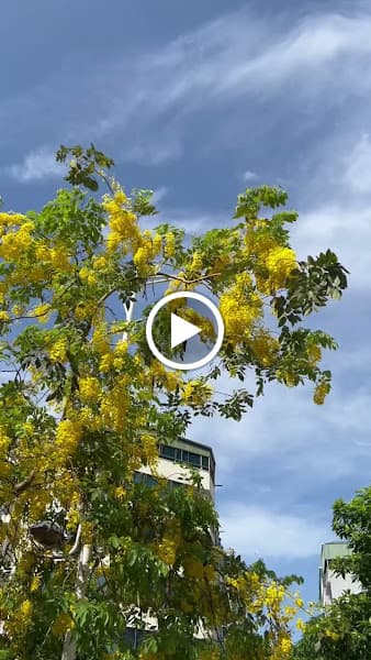 Hình ảnh Thảo Viên Botanic Garden - 3