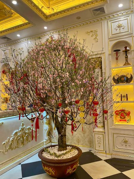 Hình ảnh KARAOKE SAOMAI - 10