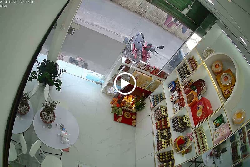 Hình ảnh Yến sào Đông trùng hạ thảo Vinagreentech Ba Đình - 4