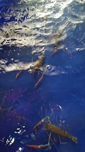 Hình ảnh Nhà hàng Tuấn Thảo - 2