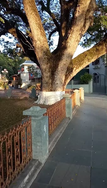 Hình ảnh Giếng Rừng - 5