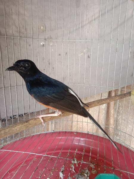 Hình ảnh Khu di tích trụ sở Bộ Giao Thông Vận Tải - 5