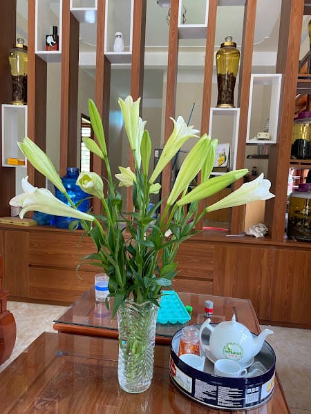 Hình ảnh Nhà Thuốc FPT Long Châu - 2