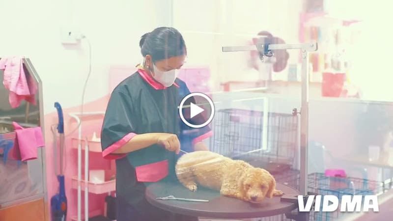 Hình ảnh MiuChou Pet - 2