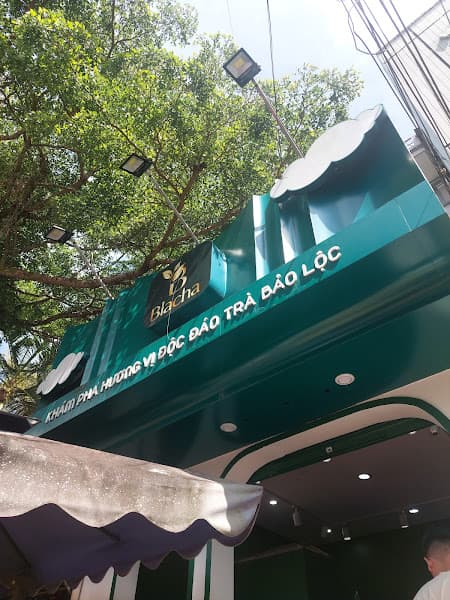Hình ảnh Trà sữa Blacha - Bảo Lộc - 2