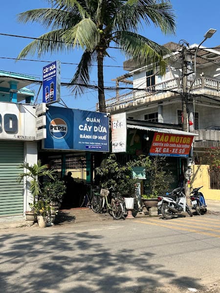 Ảnh bìa Bánh Ép Cây Dừa