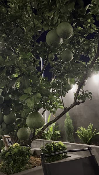 Hình ảnh Lời Của Mây - 3