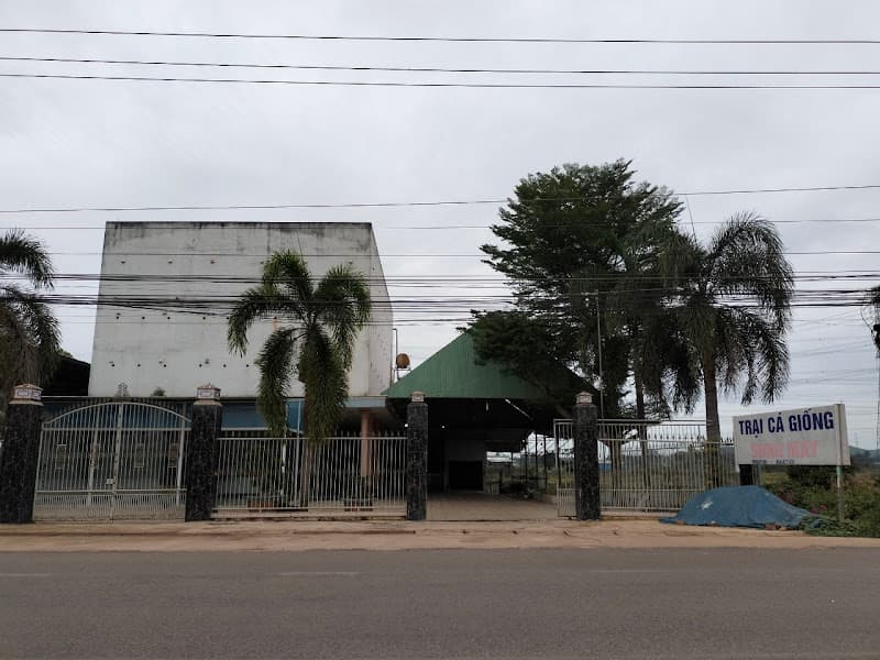 Hình ảnh Yến sào Yến My - 3