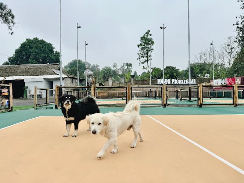 Hình ảnh 1989s Pickleball - 2