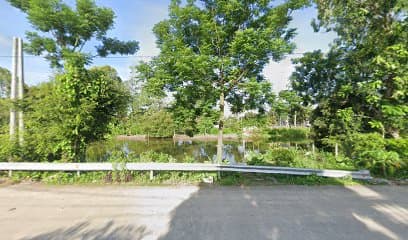 Ảnh bìa GỎI CÁ MÈ