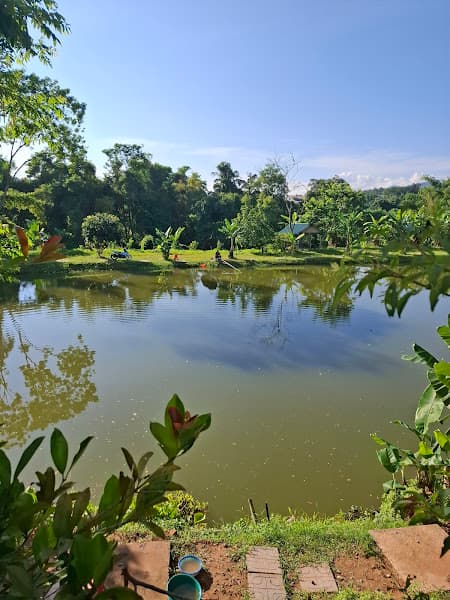 Hình ảnh Hồ câu bể bơi Hồng Anh - 4