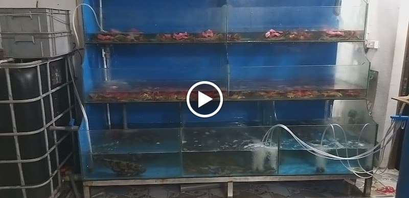 Hình ảnh Hải Sản Hiền Lương - 2