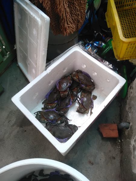 Hình ảnh Cơm Gia Đình Cậu Béo Cà Mau - 2