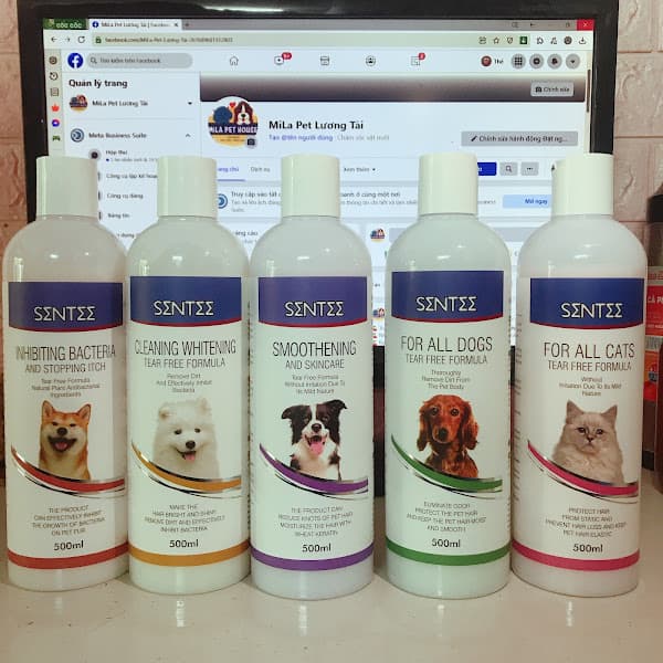 Hình ảnh MiLa Pet Lương Tài - Cửa Hàng Thú Cưng - 3