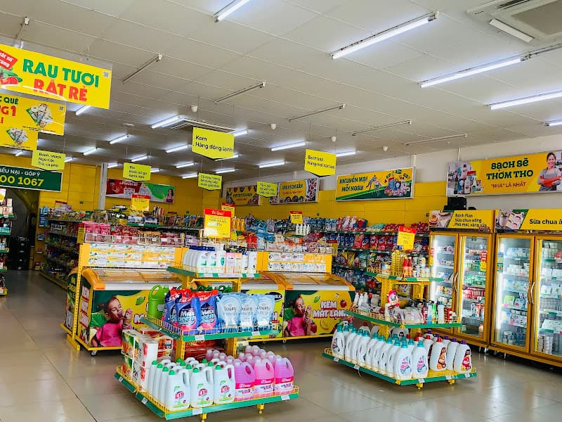 Hình ảnh Siêu thị Bách hoá XANH Quốc Lộ 63 - 3