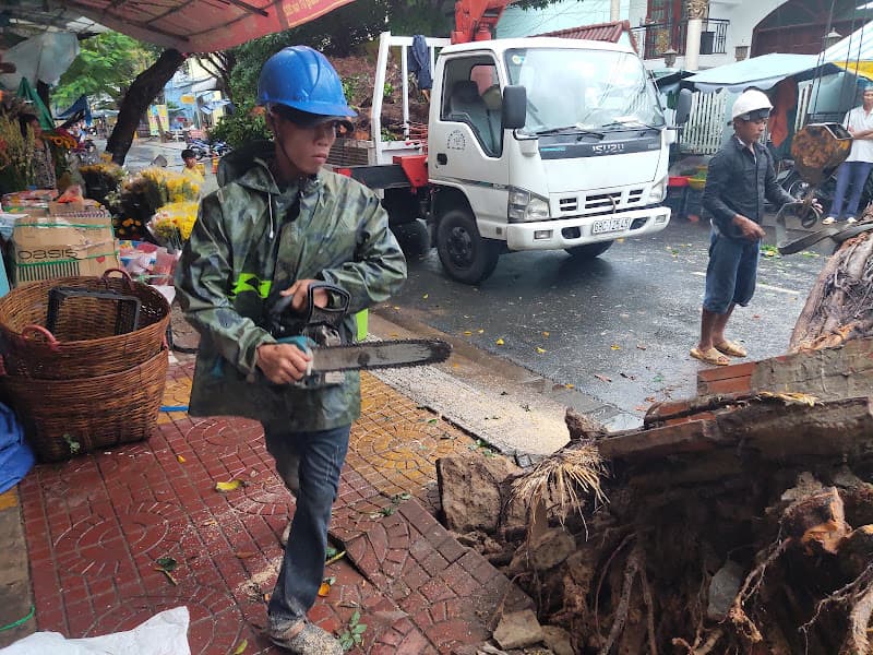 Hình ảnh Yến sào nhà Cô Gạo, Rạch Giá, Kiên Giang - 5