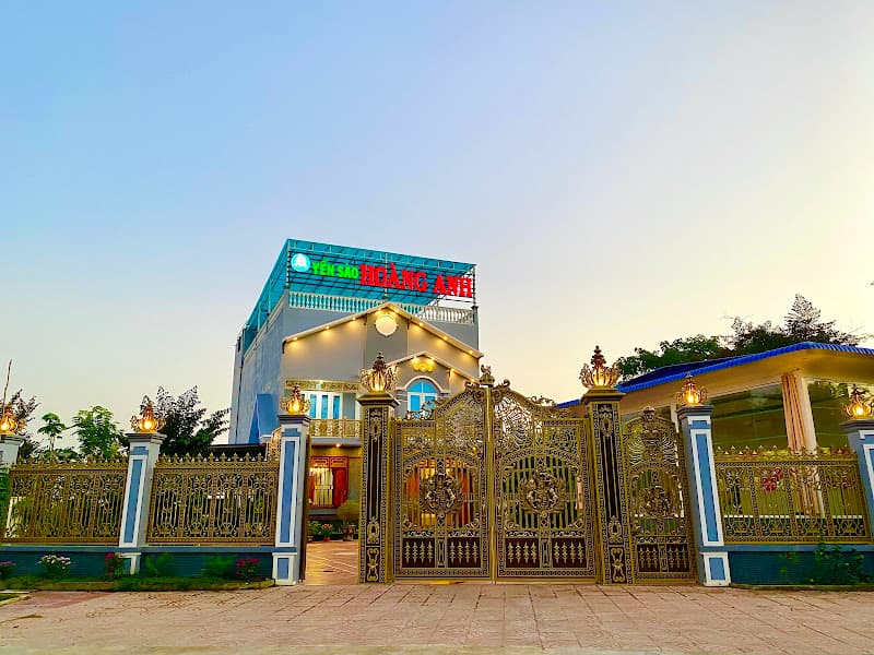 Yến Sào Hoàng Anh - Nhà Yến Hoàng Anh