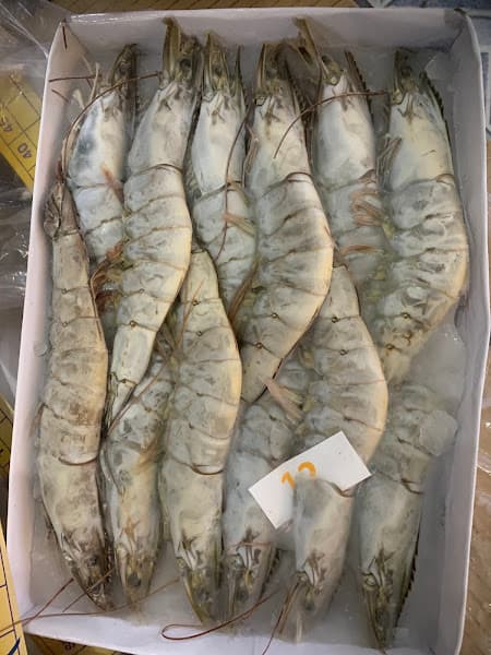 Hình ảnh Đại Lý Hải Sản Tươi Sống - 2