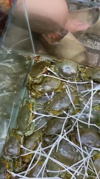 Hình ảnh Cua Cà Mau Tắm Sữa - BIN Crab - 4