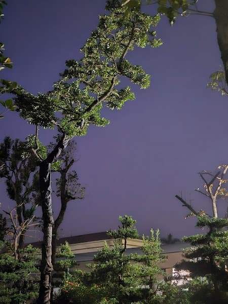 Hình ảnh Khu15 Tiên Phú Phù Ninh Phú Thọ - 3