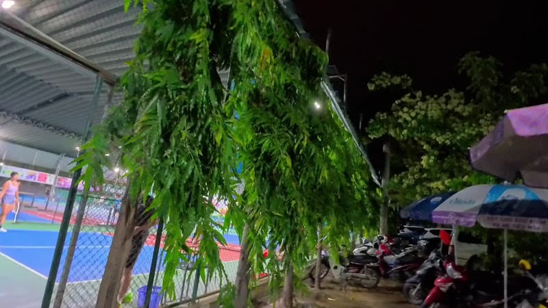 Hình ảnh Sân Pickleball Đa Quốc - 5