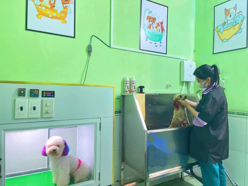 Hình ảnh Phòng Khám Thú Y MiuPet Tháp Mười - 3