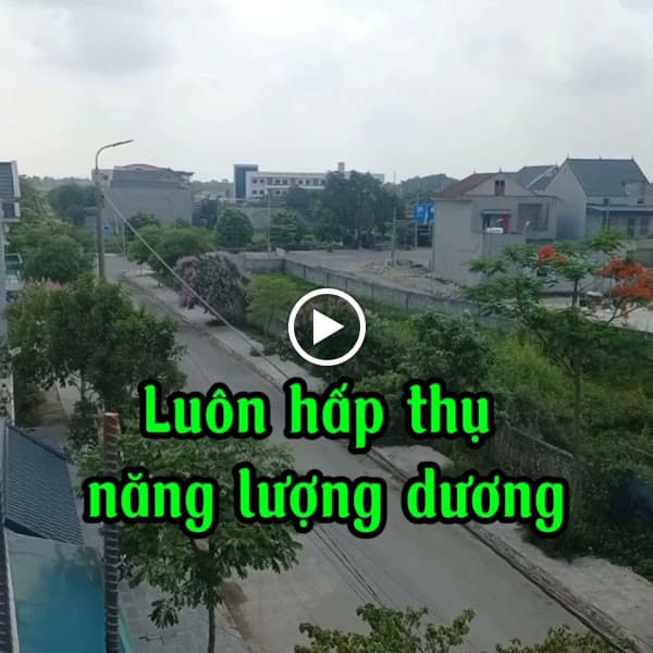 Hình ảnh Yến Sào Đại Nam - 4