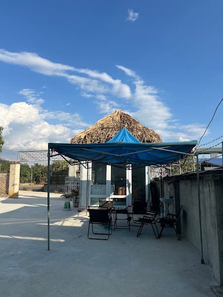 Hình ảnh Tiền Phong Pickleball - 5