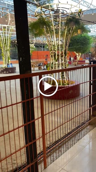 Hình ảnh Nông trại hoa Huyền Vũ Đà Lạt - 2