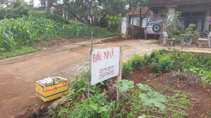 Hình ảnh Bia di tích lịch sử Chư Bồ-Đức Cơ - 4