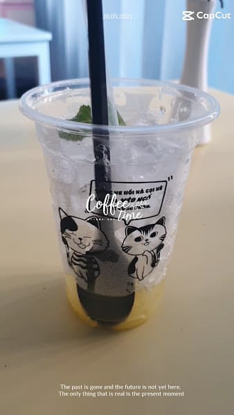Hình ảnh Mèo Ngố Tea & Coffee - 2