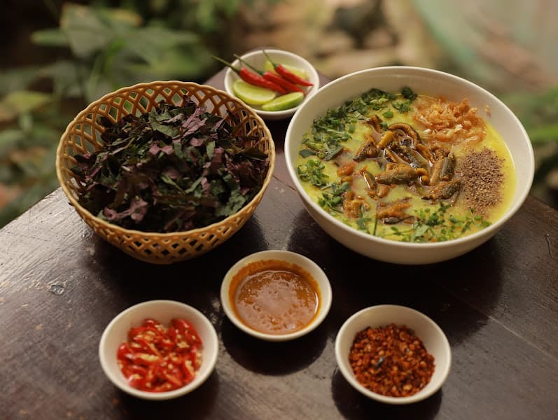 Hình ảnh Lươn Nghệ An-Sao Biển - 3