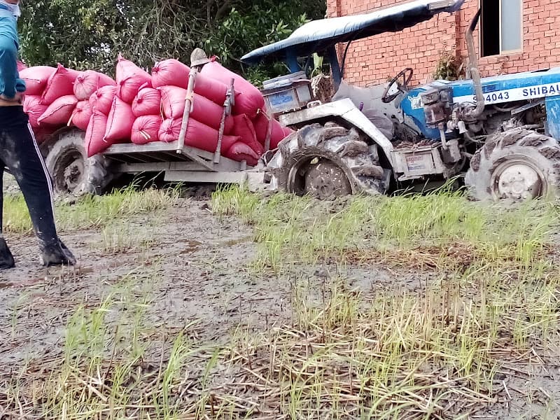 Hình ảnh Tiệm bánh xèo chín nhím - 2