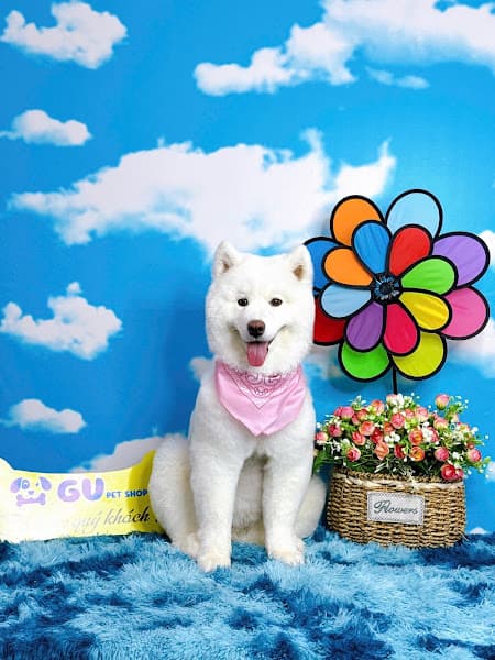 Hình ảnh GU Pet Shop Mỹ Tho - 5