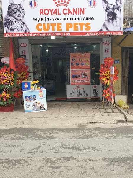 Hình ảnh CutePets - 5