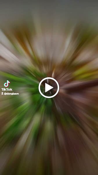 Hình ảnh Đông Ba - Bún Bò Huế (Hue Beef Noodle) - 4