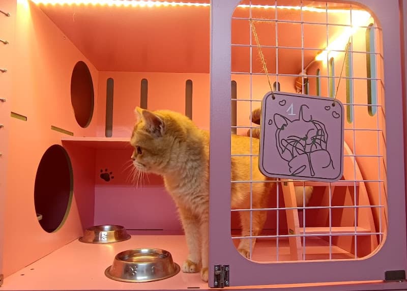 Hình ảnh Bệnh viện thú y Mỹ Đình - 5