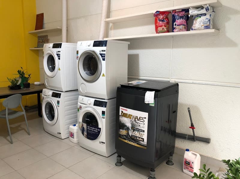 Laundry Service Daisy - Giặt Sấy Daisy