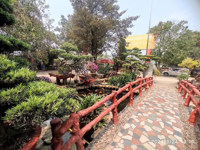 Hình ảnh Nhà hàng Mạnh Sang - 3