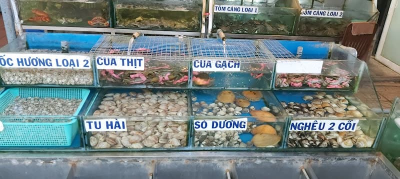 Ảnh bìa Nhà Hàng Hải Thành